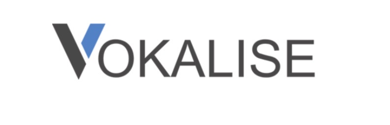 Logo Vokalise